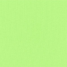 DAY PAK'R LIME GREEN SIRT ÇANTASI