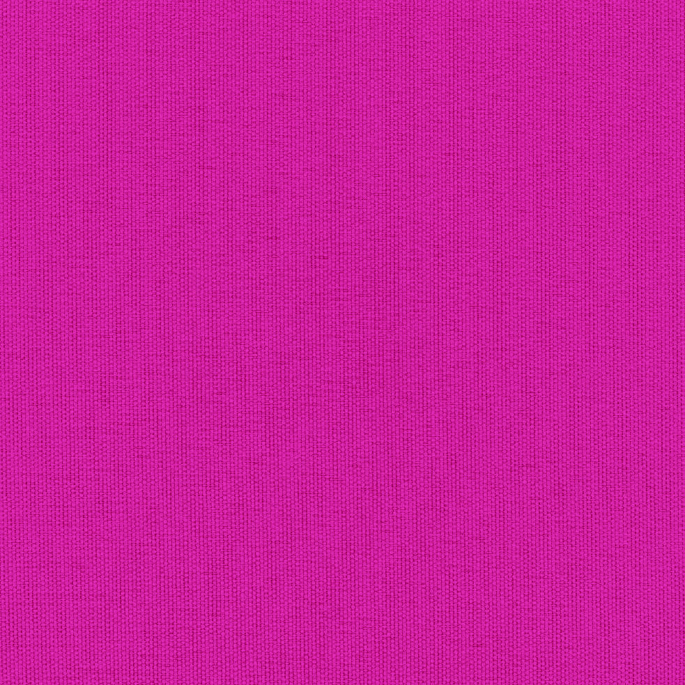 DAY PAK'R S CARMINE PINK SIRT ÇANTASI