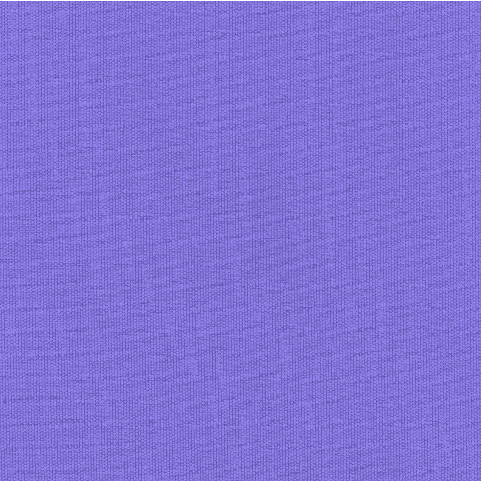 BENCHMARK SINGLE DAHLIA PURPLE KALEM KUTUSU