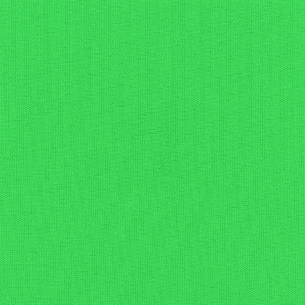 BENCHMARK SINGLE SHAMROCK GREEN KALEM KUTUSU