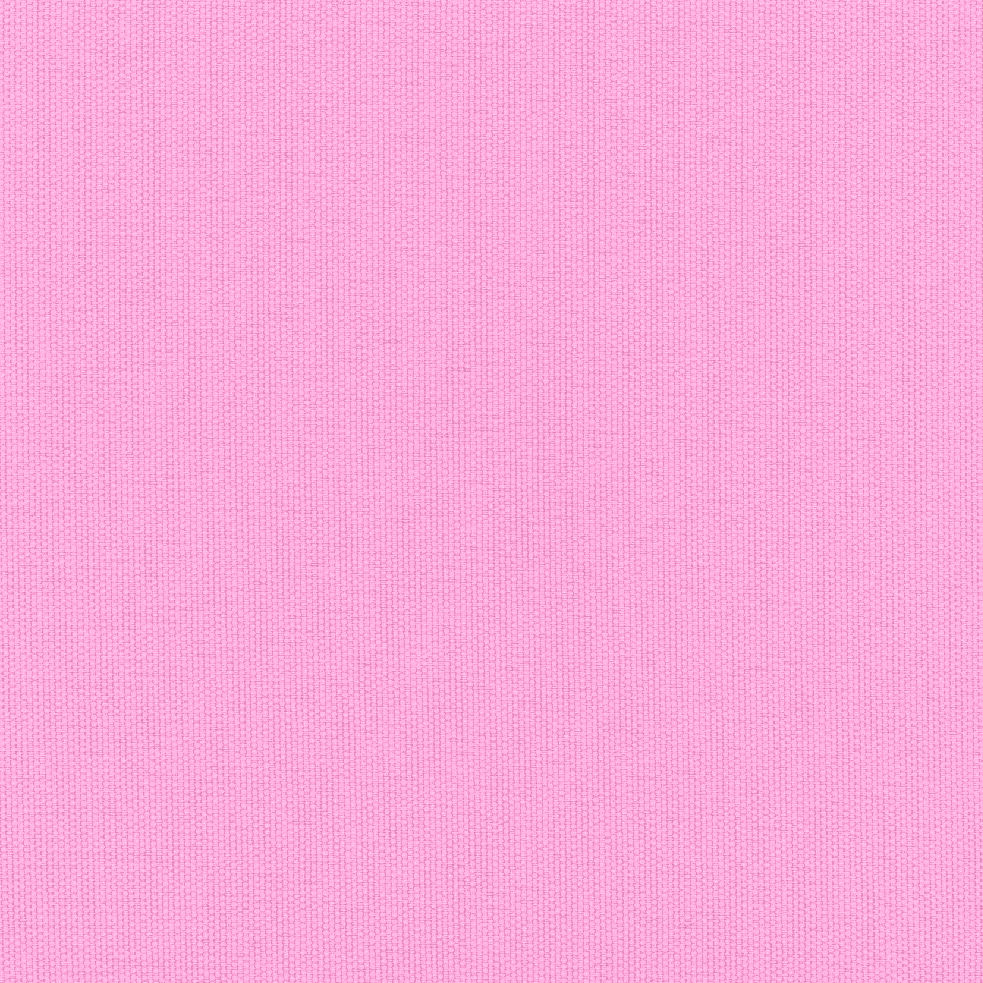 DAY PAK'R S PASTEL PINK SIRT ÇANTASI